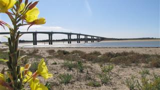 Saint Jean de Monts campsite | Vendee