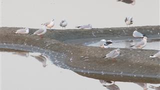 Saint Jean de Monts campsite | Vendee
