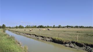 Saint Jean de Monts campsite | Vendee